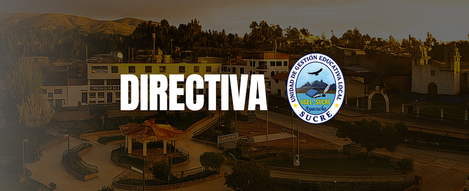 DIRECTIVA DIRECTIVA